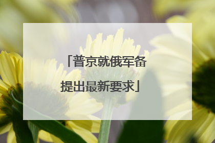 普京就俄军备提出最新要求